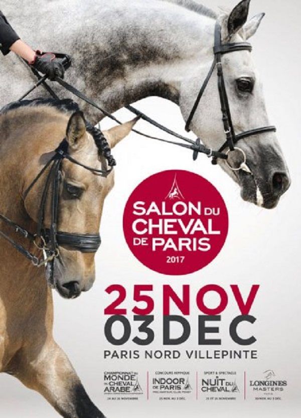 Salon Du Cheval Martin Charpentes