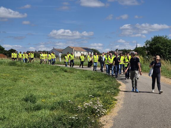 marche vers la forêt